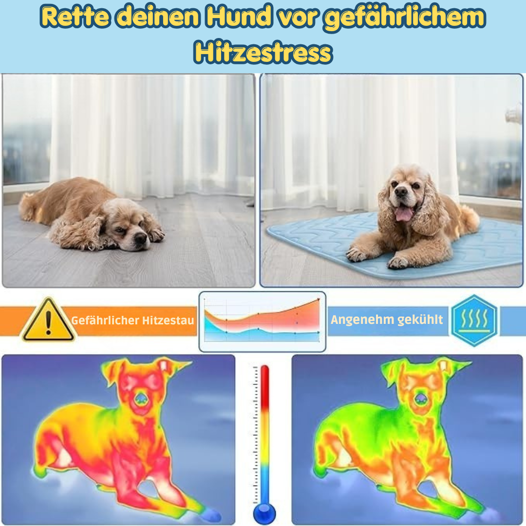Hunde Kühlmatte Blau
